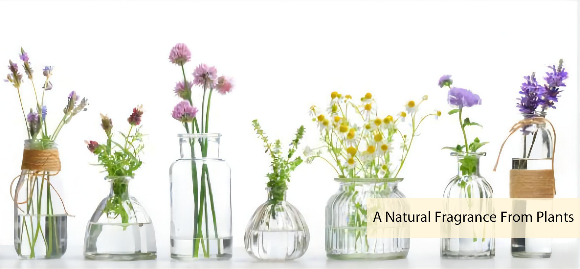 How To Make Your Own Perfume1