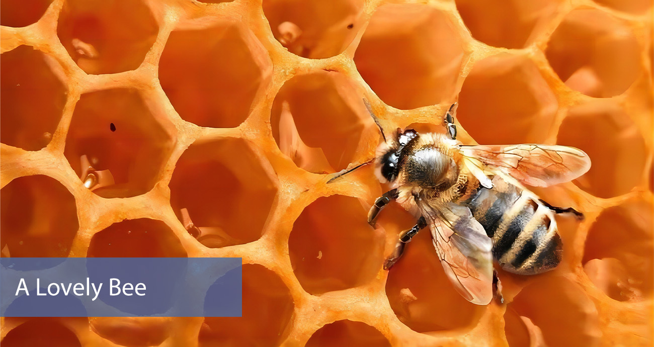 What Else Is Hidden -2